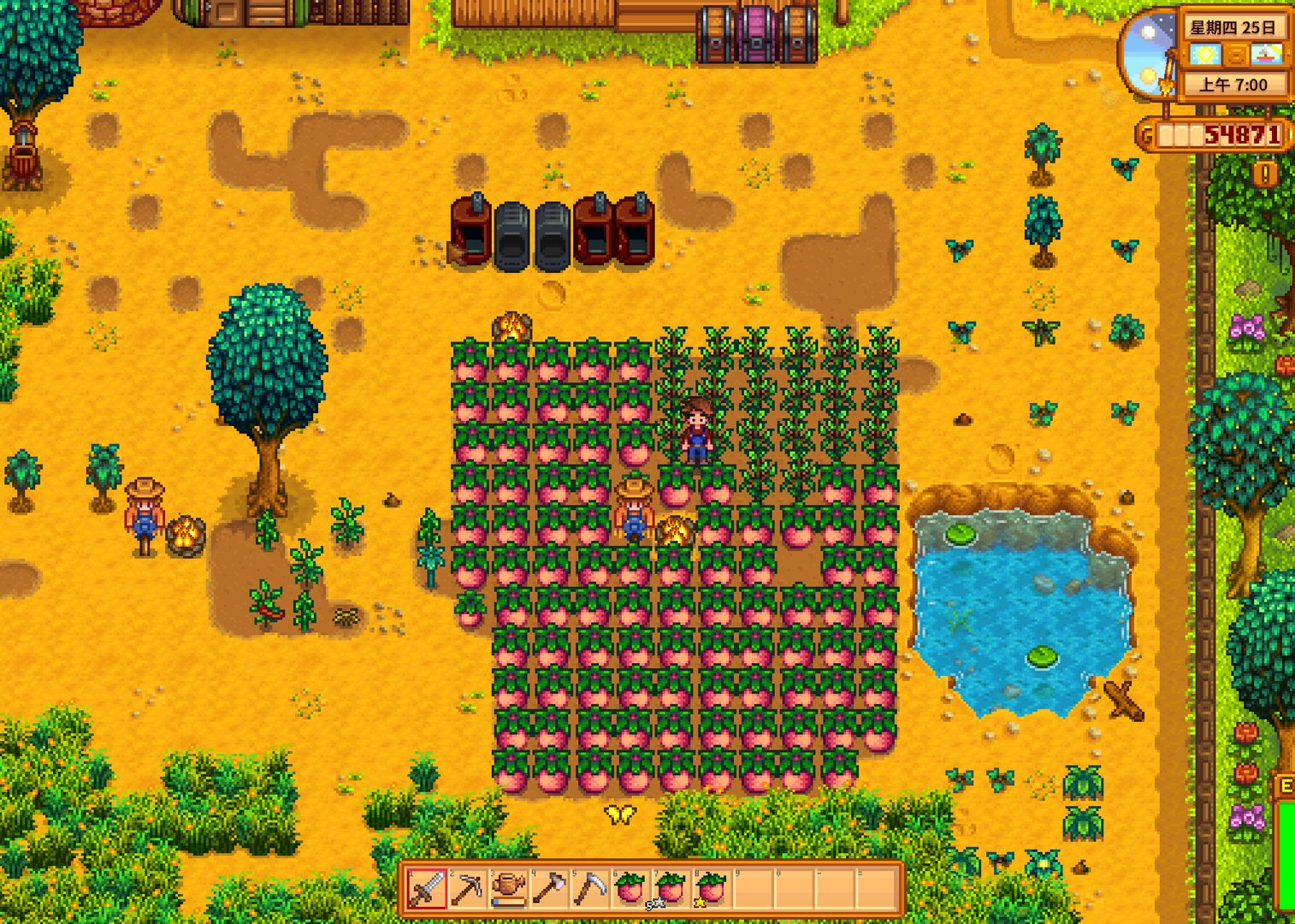 黑暗之魂3 豪华版 截图11